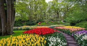 Keukenhof Gardens – Lisse